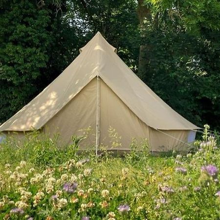 'T Schaaphof Tent En Ontbijt 호텔 데인제 외부 사진