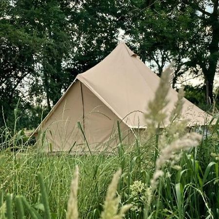 'T Schaaphof Tent En Ontbijt 호텔 데인제 외부 사진