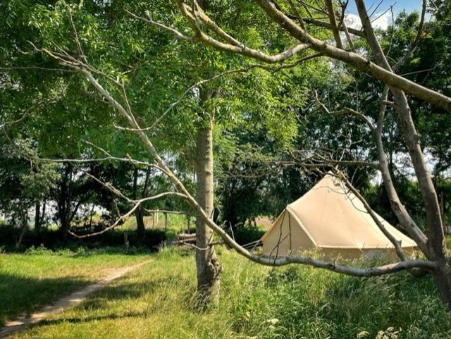 'T Schaaphof Tent En Ontbijt 호텔 데인제 외부 사진