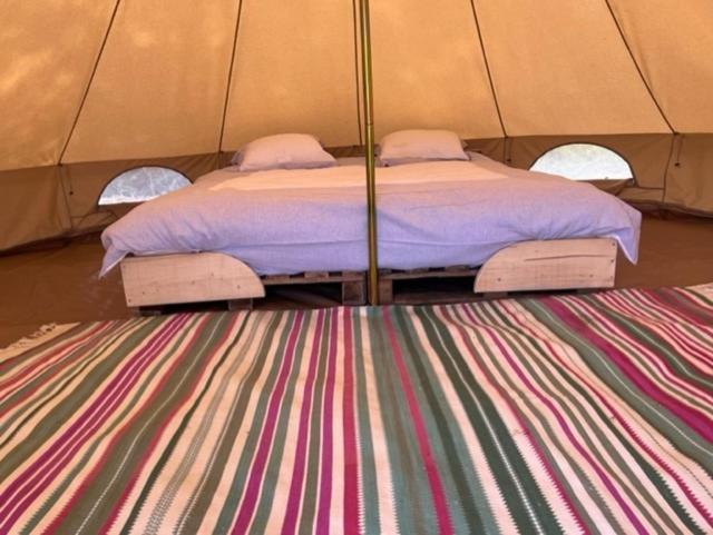 'T Schaaphof Tent En Ontbijt 호텔 데인제 외부 사진